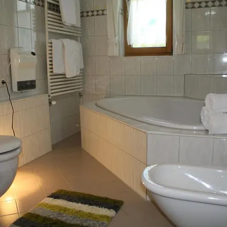 Ruhige Im Ortszentrum Apartment Sankt Gallenkirch